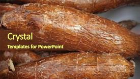  Presentation with cassava - Audience pleasing PPT theme consisting of agriculture cassava - manioc backdrop and a tawny brown colored foreground