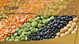  Presentation with beans legumes - PPT theme consisting of agriculture chickpeas plant - colorful striped rows of lentils background and a gold colored foreground