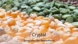  Presentation with grains - Audience pleasing slides consisting of agriculture chickpeas plant - various seeds and grains close backdrop and a coral colored foreground