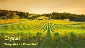  Presentation with climate - Presentation theme having agriculture climate - golden vines background and a tawny brown colored foreground