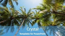  Presentation with palm plantation - Audience pleasing PPT theme consisting of palm plantation on tropical island backdrop and a  colored foreground