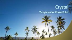  Presentation with palm plantation - Audience pleasing presentation theme consisting of  backdrop and a  colored foreground