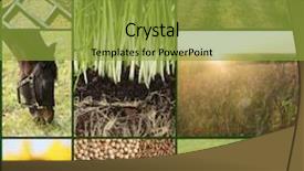  Presentation with agriculture - Cool new presentation with agriculture collage backdrop and a gold colored foreground