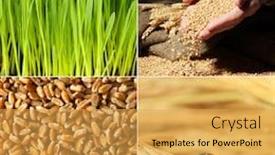  Presentation with agriculture - Theme with agriculture collage background and a yellow colored foreground