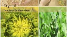  Presentation with agriculture - Cool new presentation design with agriculture collage backdrop and a coral colored foreground