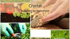  Presentation with agriculture - Beautiful PPT layouts featuring agriculture collage backdrop and a coral colored foreground