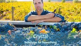  Presentation with cabernet sauvignon - Slide deck having agriculture crop - mediterranean vineyard harvest farmer farming background and a ocean colored foreground