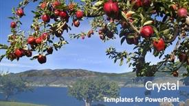  Presentation with agriculture water - Amazing presentation design having agriculture crop water - apples were polished and are backdrop and a teal colored foreground
