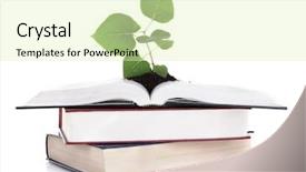  Presentation with okra plant - Colorful PPT theme enhanced with agriculture education - books with plant isolated backdrop and a soft green colored foreground