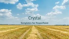  Presentation with agriculture field - Theme enhanced with agriculture field after harvesting background and a light blue colored foreground