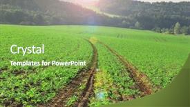  Presentation with agriculture field - Cool new slides with agriculture field during autumn sunrise backdrop and a seafoam green colored foreground