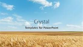  Presentation with agriculture field - PPT layouts having agriculture-golden-color-field background and a light blue colored foreground