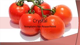  Presentation with water droplets - PPT theme with beautiful fresh picked vine ripe background and a red colored foreground