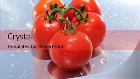  Presentation with leaf water drops fresh - PPT theme featuring drops on a silver background background and a  colored foreground