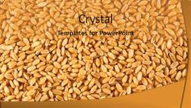  Presentation with grains - PPT theme featuring  background and a  colored foreground