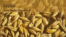  Presentation with seeds - Presentation theme having seeds background background and a gold colored foreground