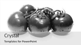  Presentation with vine - PPT layouts having text fresh beef stake background and a light gray colored foreground