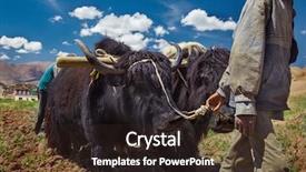  Presentation with plowing - Colorful PPT theme enhanced with agriculture in spiti valley india backdrop and a wine colored foreground