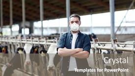  Presentation with animal husbandry - Cool new slides with agriculture-industry-farming-and-animal backdrop and a gray colored foreground