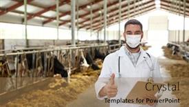  Presentation with animal agriculture - Theme having agriculture-industry-farming-and-animal background and a coral colored foreground