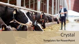  Presentation with agriculture industry - Theme with agriculture industry farming and animal background and a coral colored foreground