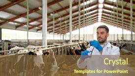  Presentation with animal agriculture - PPT layouts enhanced with agriculture industry farming medicine animal background and a tawny brown colored foreground