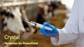 Presentation with animal agriculture - Theme having agriculture industry farming medicine animal background and a tawny brown colored foreground