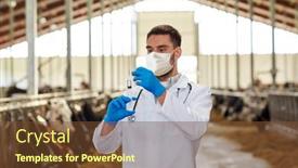  Presentation with husbandry - Colorful presentation theme enhanced with agriculture-industry-farming-medicine backdrop and a tawny brown colored foreground