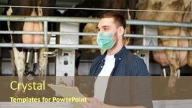  Presentation with agriculture industry - PPT theme consisting of agriculture-industry-farming-people-milking background and a violet colored foreground