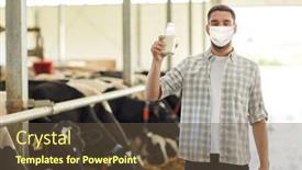  Presentation with milk dairy agriculture industry farming - Audience pleasing presentation design consisting of agriculture-industry-farming-people backdrop and a tawny brown colored foreground