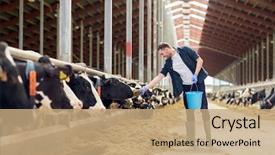  Presentation with agriculture industry - Colorful PPT theme enhanced with agriculture industry farming people backdrop and a coral colored foreground