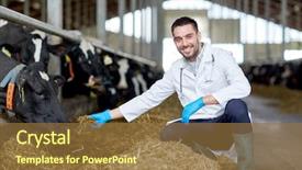  Presentation with agriculture industry - Amazing PPT theme having agriculture industry farming people backdrop and a tawny brown colored foreground