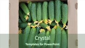  Presentation with cucumbers - Beautiful presentation theme featuring agriculture products - cardboard box with cucumbers isolated backdrop and a ocean colored foreground