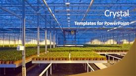  Presentation with agriculture robots - Amazing slide deck having agriculture robots - robotic pick and place unit backdrop and a teal colored foreground