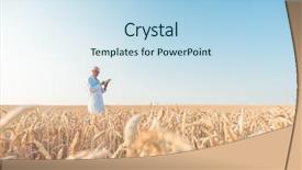  Presentation with agriculture field - Presentation featuring agriculture scientist doing research background and a sky blue colored foreground