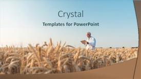  Presentation with agriculture field - Presentation having agriculture-scientist-doing-research background and a light blue colored foreground