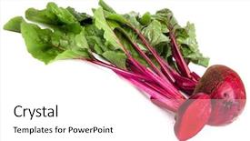  Presentation with root - Audience pleasing theme consisting of agriculture sugar beets - beet root isolated on white backdrop and a  colored foreground