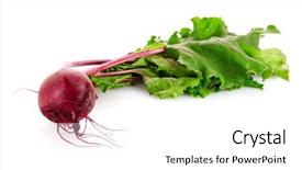  Presentation with brown sugar isolated on white - PPT theme having agriculture sugar beets - beetroot isolated on white background and a white colored foreground