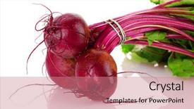  Presentation with beetroot - Cool new PPT theme with agriculture sugar beets - beetroot isolated on white backdrop and a coral colored foreground