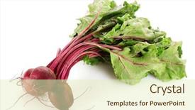  Presentation with beetroot - Presentation theme enhanced with agriculture sugar beets - beetroot isolated on white background and a soft green colored foreground