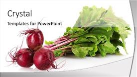  Presentation with beetroot - Theme with agriculture sugar beets - beetroot isolated on white background and a white colored foreground