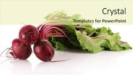  Presentation with beetroot - Cool new PPT layouts with agriculture sugar beets - beetroot isolated on white backdrop and a blonde colored foreground