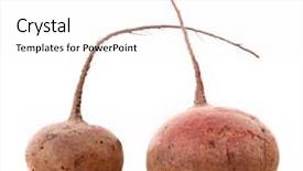  Presentation with agriculture sugar beet - Colorful presentation design enhanced with agriculture sugar beets - two beet isolated on white backdrop and a  colored foreground