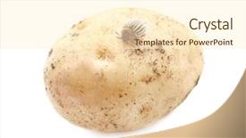  Presentation with colorado - Beautiful slide set featuring agro - colorado beetle and potato backdrop and a cream colored foreground