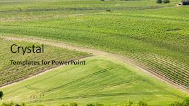  Presentation with czech republic - Presentation design featuring agro - vineyards near velke bilovice czech background and a yellow colored foreground