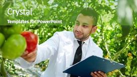  Presentation with tomato - Beautiful presentation design featuring agro business - agroengineer with document looking backdrop and a tawny brown colored foreground