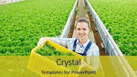  Presentation with greenhouse - Presentation with agro business - happy young woman in uniform background and a yellow colored foreground
