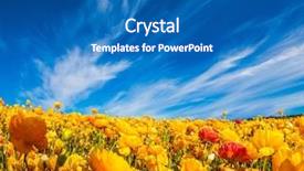  Presentation with rural tourism concept - Audience pleasing slide set consisting of agro business - magnificent blossoming fields of garden backdrop and a teal colored foreground