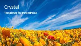  Presentation with rural tourism concept - Cool new presentation theme with agro business - magnificent blossoming fields of garden backdrop and a ocean colored foreground