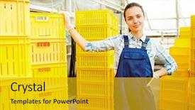  Presentation with plastic - Amazing PPT theme having agro business - modern farmer standing by stacks backdrop and a gold colored foreground